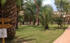 green garden resort, hotel club green garden, green garden club, hotel residence green garden club, green garden resort briatico, green garden village, hotel club green garden resort, hotel e villaggio club green garden, villaggio green garden club, hotel, vilaggio, resort, green, garden, club, briatico, calabria